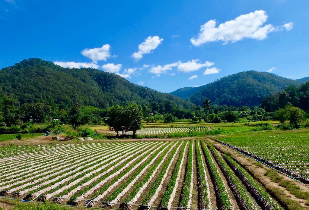 Wongwan Farm Villa Samoeng Eksteriør billede