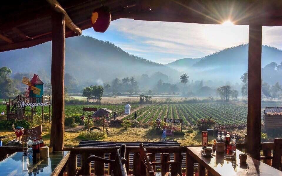 Wongwan Farm Villa Samoeng Eksteriør billede